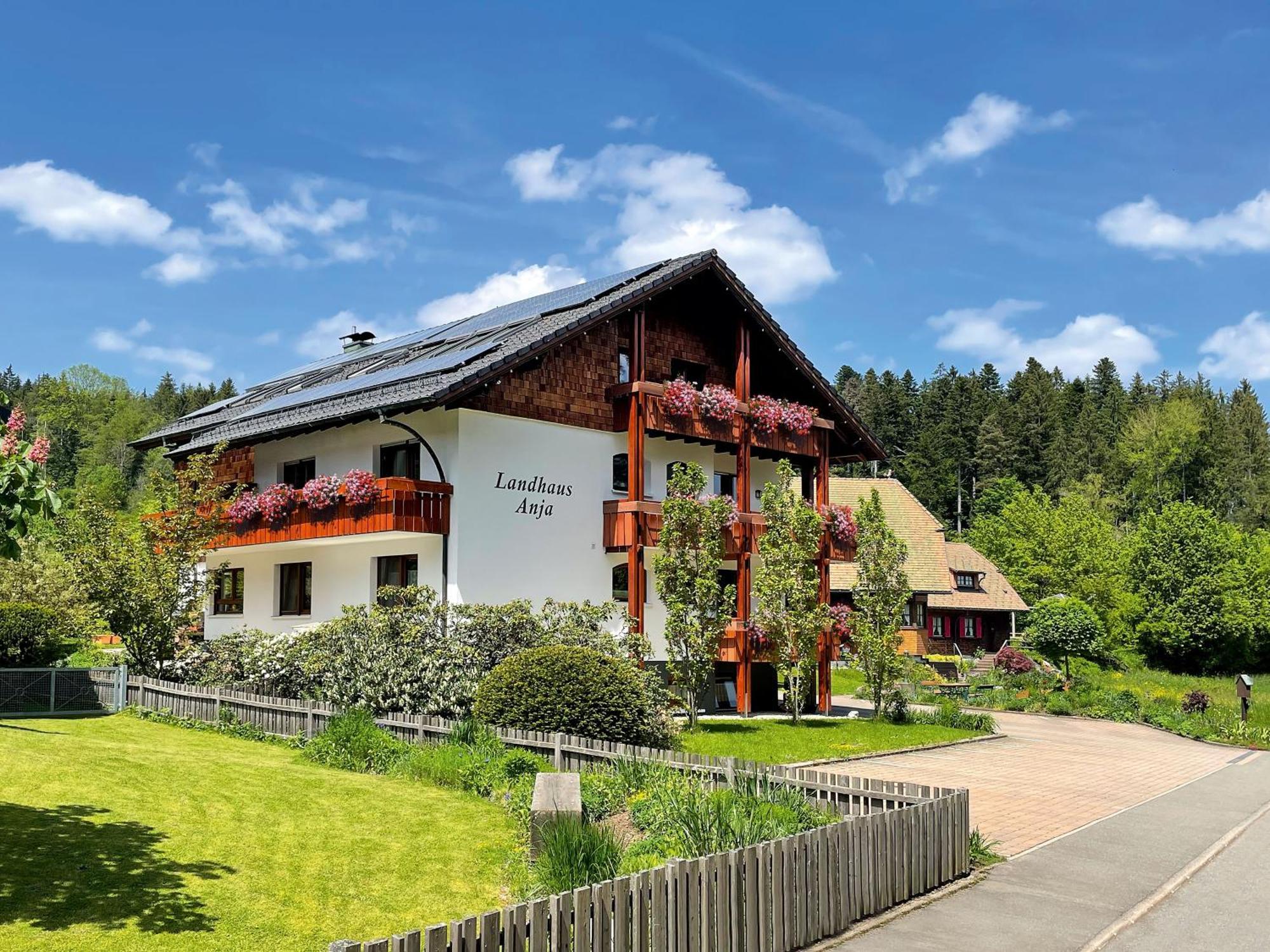 Landhaus Anja Фройденштадт Экстерьер фото