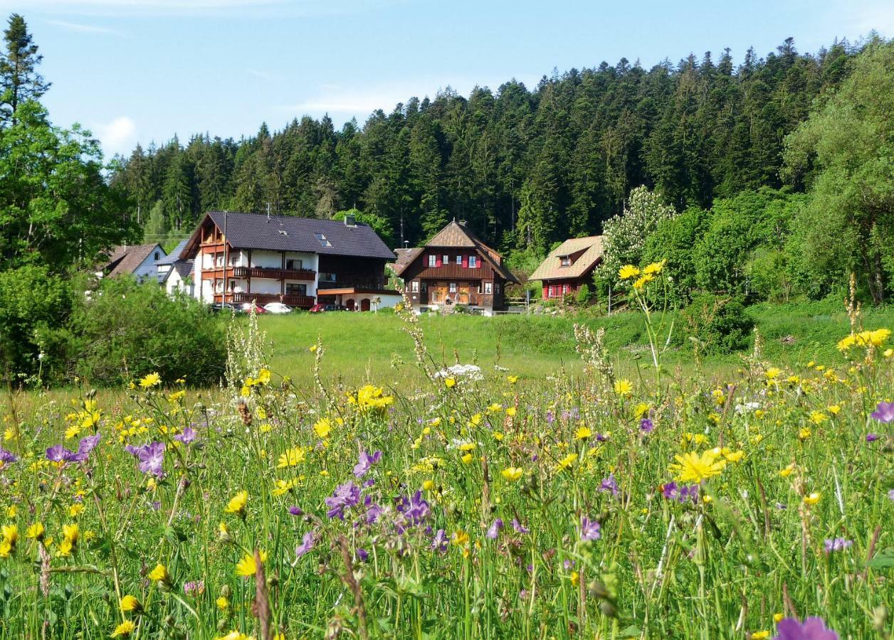 Landhaus Anja Фройденштадт Экстерьер фото